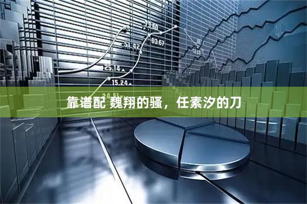 靠谱配 魏翔的骚，任素汐的刀