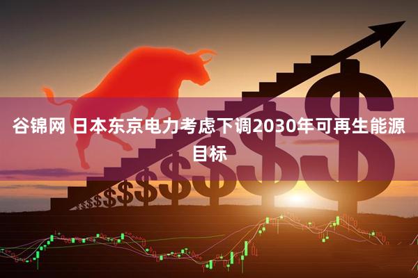 谷锦网 日本东京电力考虑下调2030年可再生能源目标