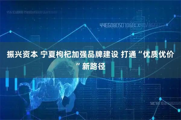 振兴资本 宁夏枸杞加强品牌建设 打通“优质优价”新路径